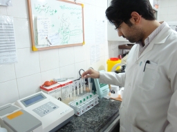 aminamin