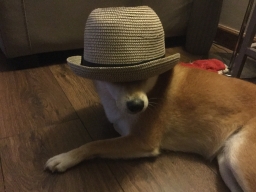 baptman