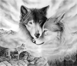 cecilis11