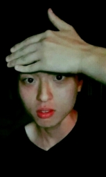 half2193