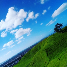 kotoko