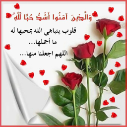 abubs18