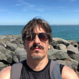 carloitaly