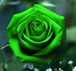 greentfa7x