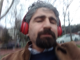 halisx