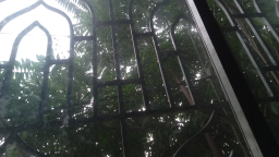 junaidul