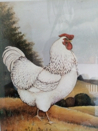 luis58