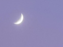 lumiaky