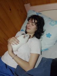 virezsanc
